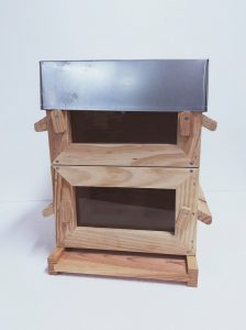 Ruche Warré vitrée