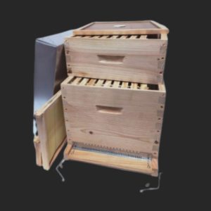 Comment bien organiser son rucher ?