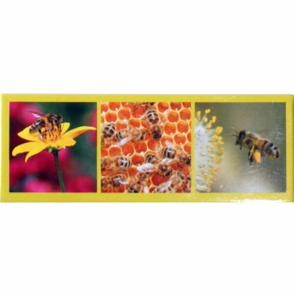 Magnet panoramique 3 photos abeilles — Apistore