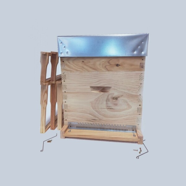 Ruche Dadant 10 avec hausse et cadres Hoffmann — Apistore — photo 1 sur 3