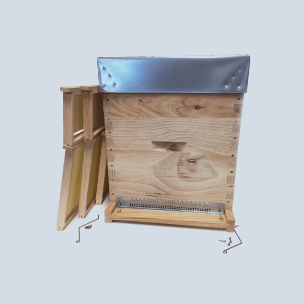 Ruche Dadant 10 avec hausse et cadres droits cirés — Apistore — photo 1 sur 9