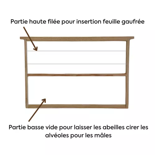Cadre à mâles format Dadant — Apistore — photo 1 sur 2