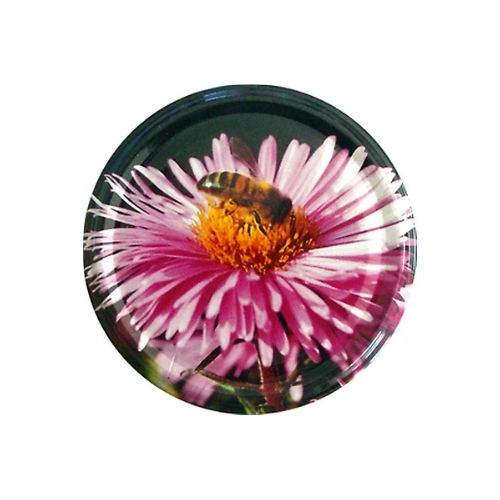 Capsules TO82 Fleur mauve, sachet de 36 — Apistore