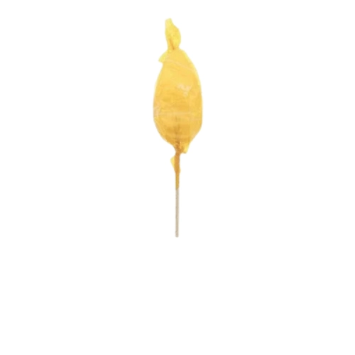 10 sucettes Flamme