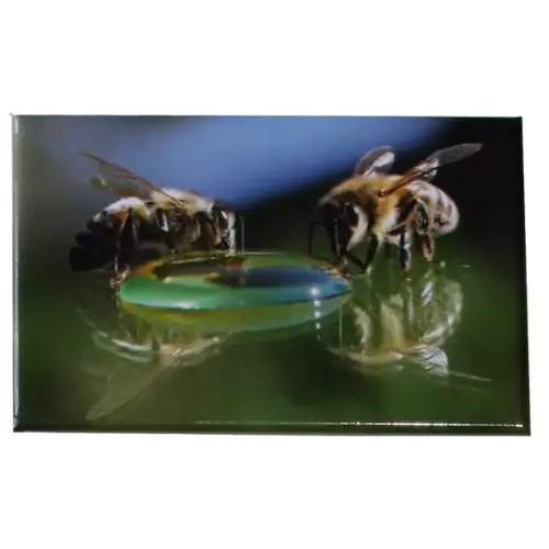 Magnet abeille sur bulle — Apistore