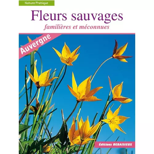 Livre Fleurs Sauvages Familières et Méconnues — Apistore