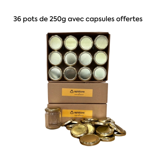 Pot en verre 250g, pack de 36, avec capsules or — Apistore — photo 1 sur 2
