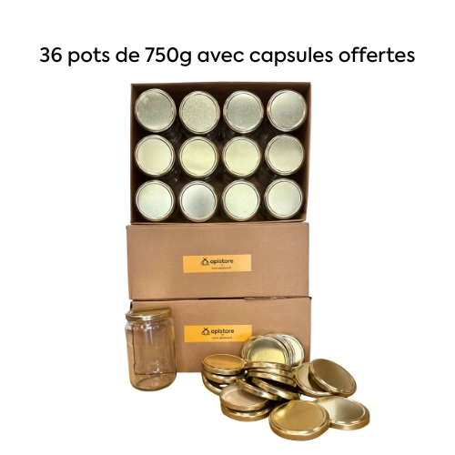 Pot en verre 750g, pack de 36 avec capsules or — Apistore — photo 1 sur 2