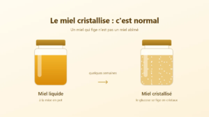 Comparaison entre un pot de miel liquide et un pot de miel cristallisé après quelques semaines