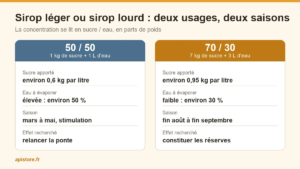 Comparatif du sirop 50/50 de printemps et du sirop 70/30 d'automne pour les abeilles